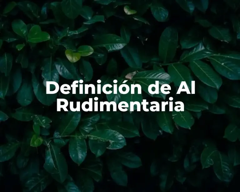 Definición de Al Rudimentaria
