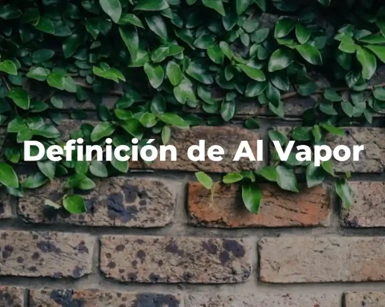 Definición de Al Vapor