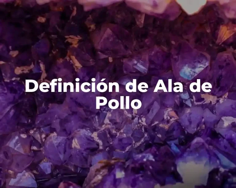 Definición de Ala de Pollo