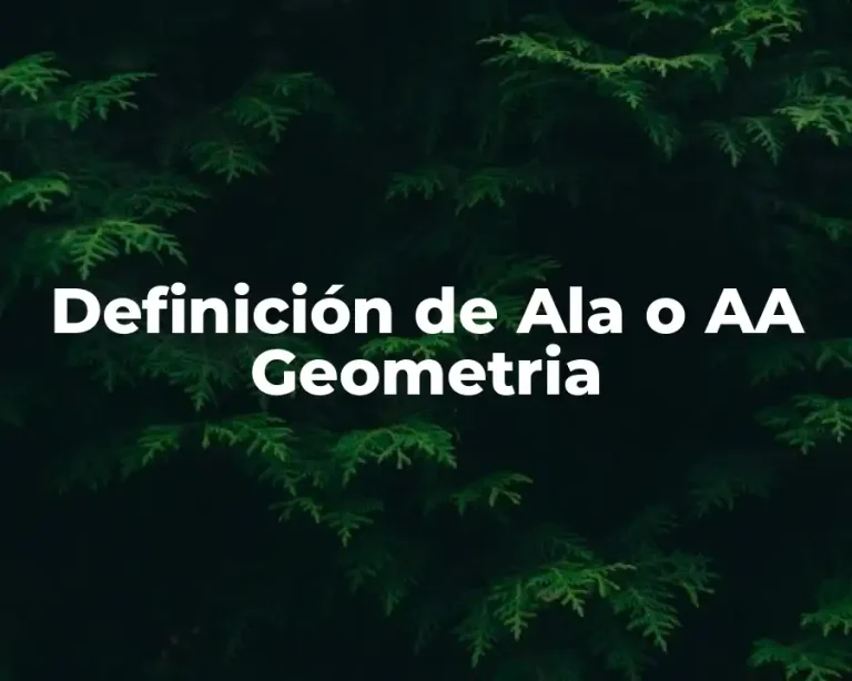 Definición de Ala o AA Geometria