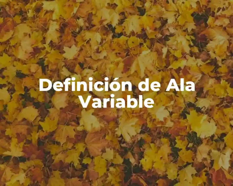 Definición de Ala Variable