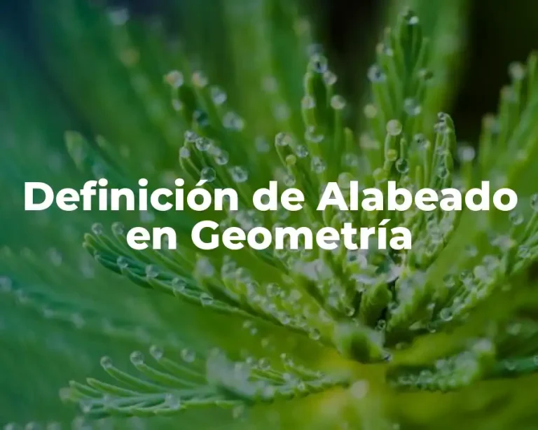 Definición de Alabeado en Geometría