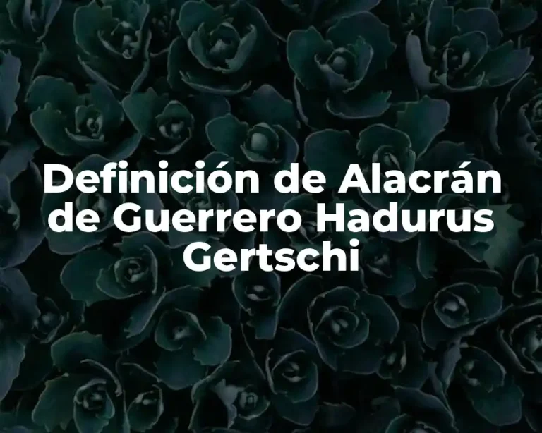Definición de Alacrán de Guerrero Hadurus Gertschi