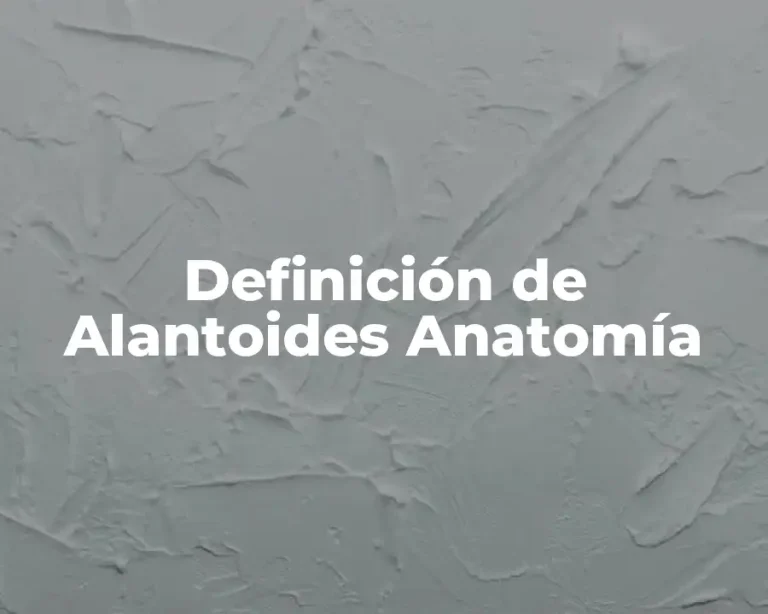 Definición de Alantoides Anatomía