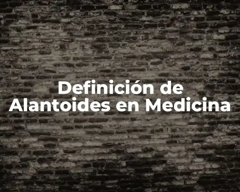 Definición de Alantoides en Medicina