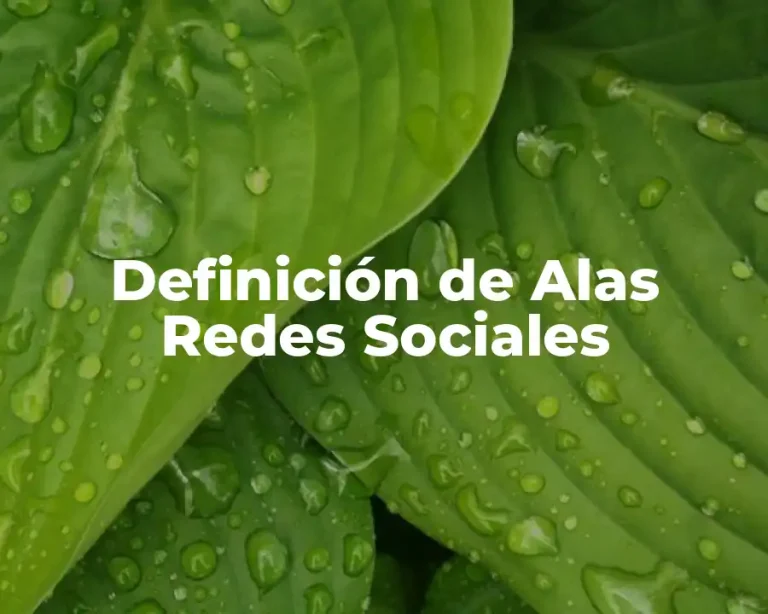 Definición de Alas Redes Sociales