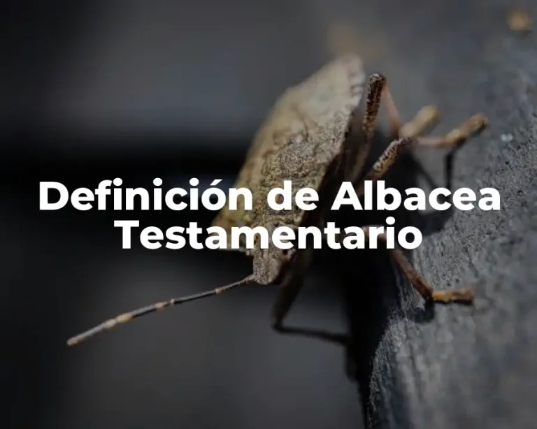 Definición de Albacea Testamentario