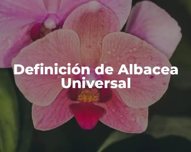 Definición de Albacea Universal