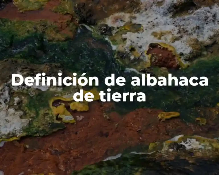 Definición de albahaca de tierra