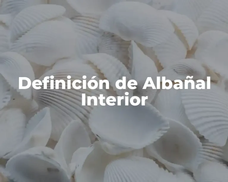 Definición de Albañal Interior
