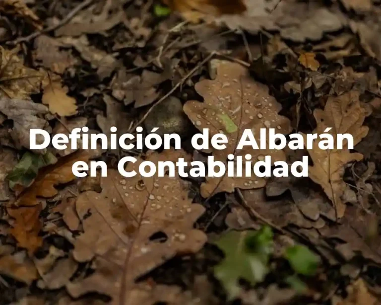 Definición de Albarán en Contabilidad