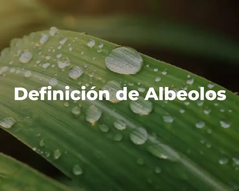 Definición de Albeolos