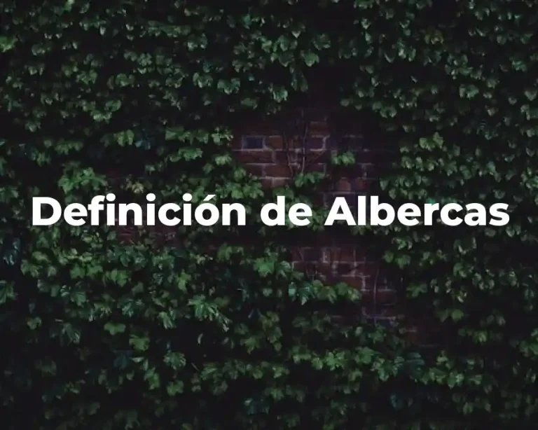 Definición de Albercas