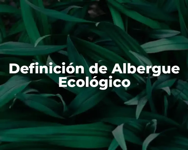 Definición de Albergue Ecológico