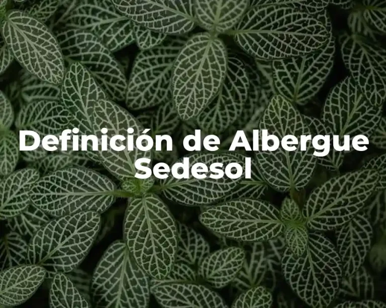 Definición de Albergue Sedesol