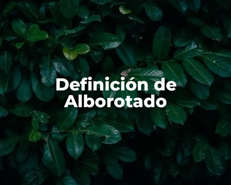 Definición de Alborotado