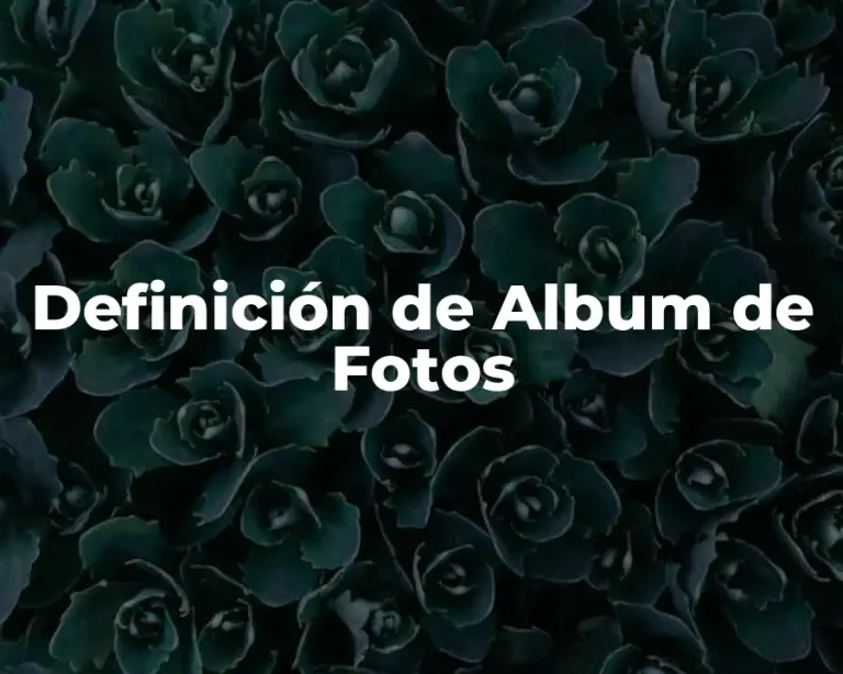 Definición de Album de Fotos