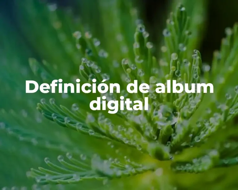 Definición de album digital