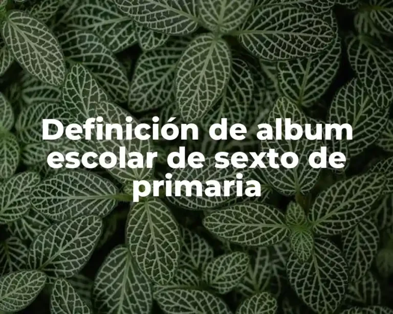 Definición de album escolar de sexto de primaria
