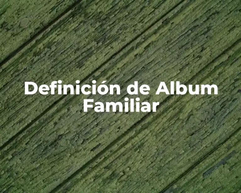 Definición de Album Familiar
