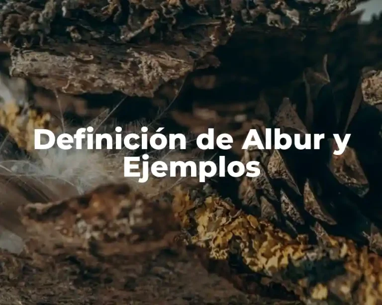 Definición de Albur y Ejemplos