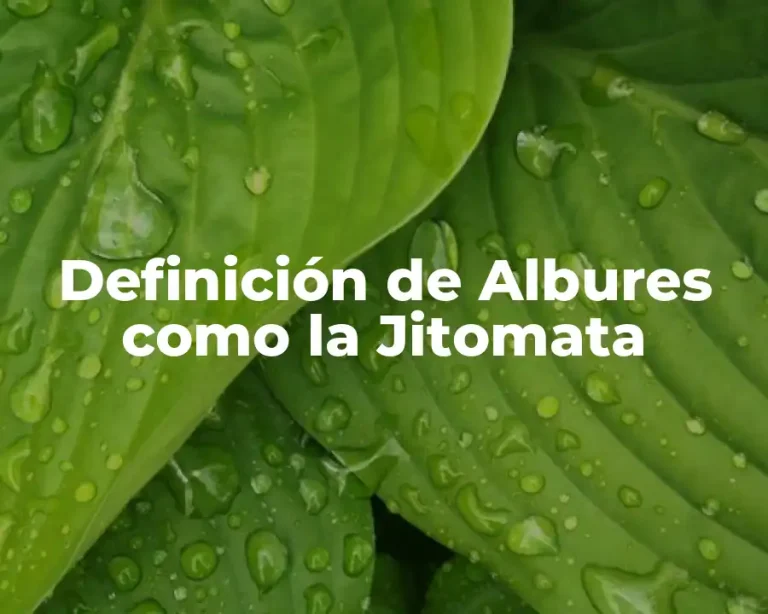 Definición de Albures como la Jitomata