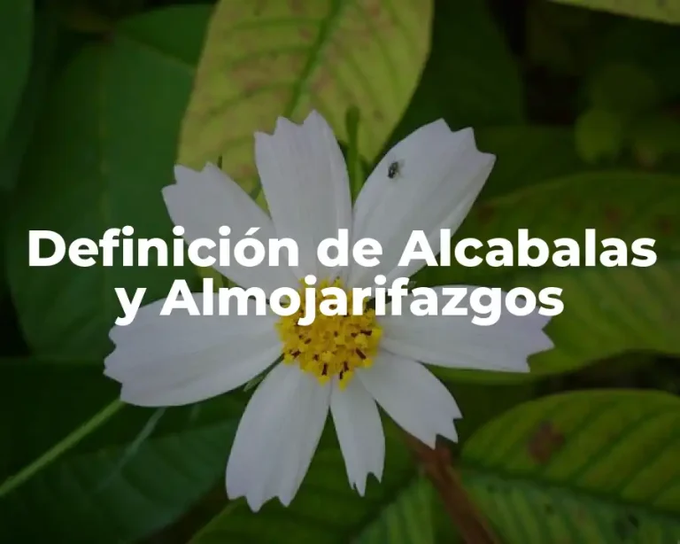 Definición de Alcabalas y Almojarifazgos