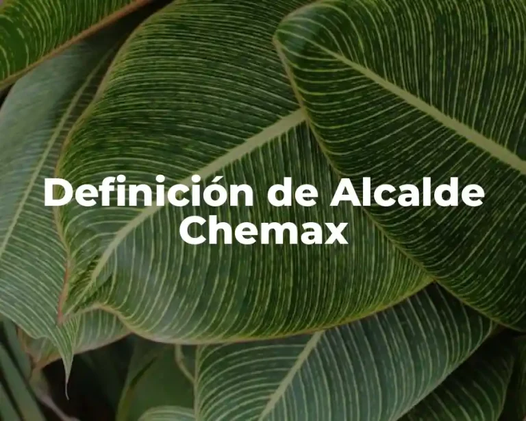 Definición de Alcalde Chemax
