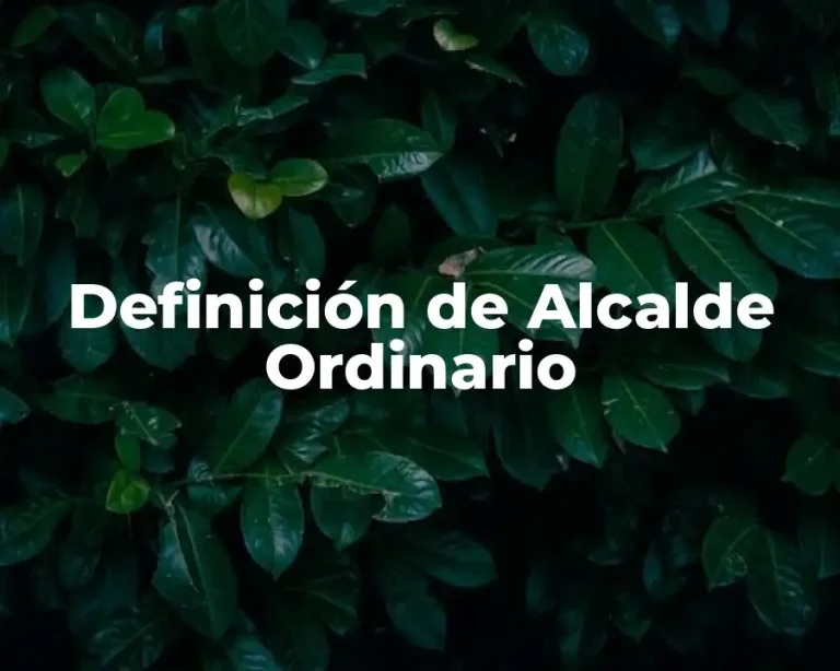 Definición de Alcalde Ordinario