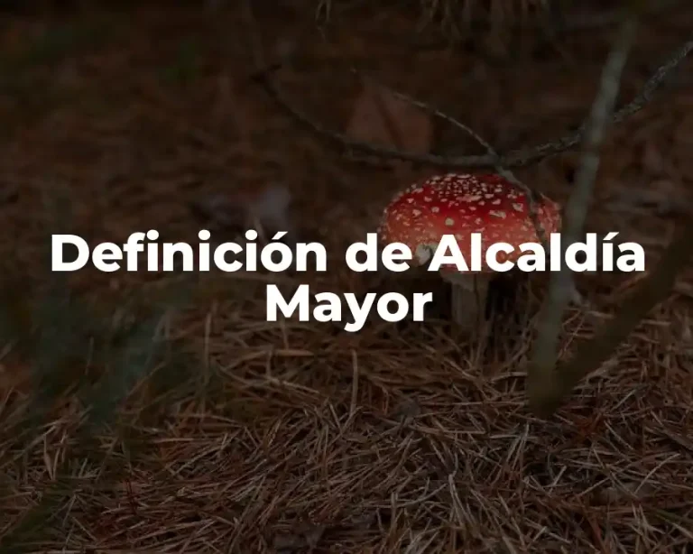 Definición de Alcaldía Mayor