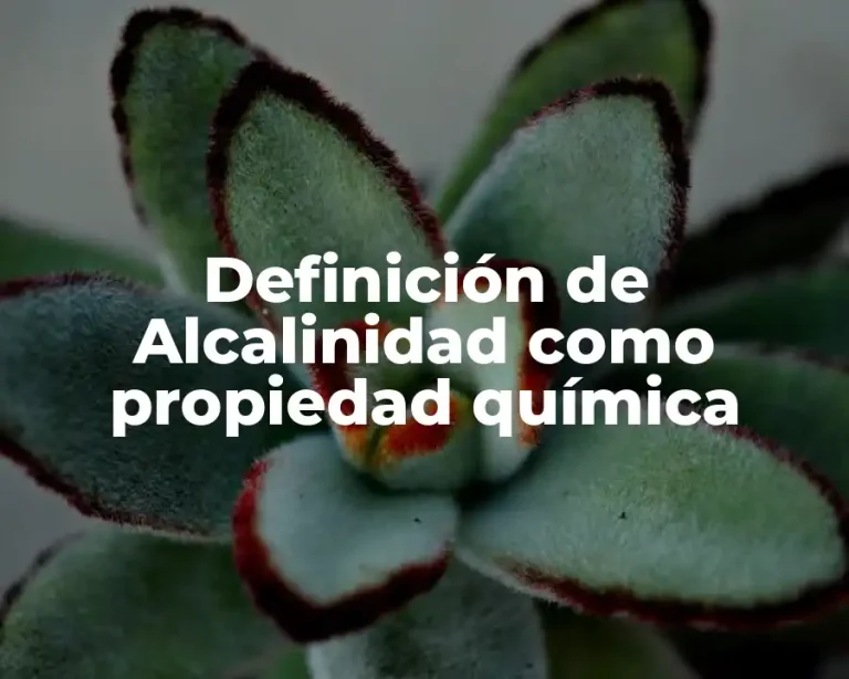 Definición de Alcalinidad como propiedad química