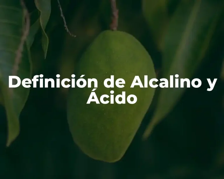 Definición de Alcalino y Ácido