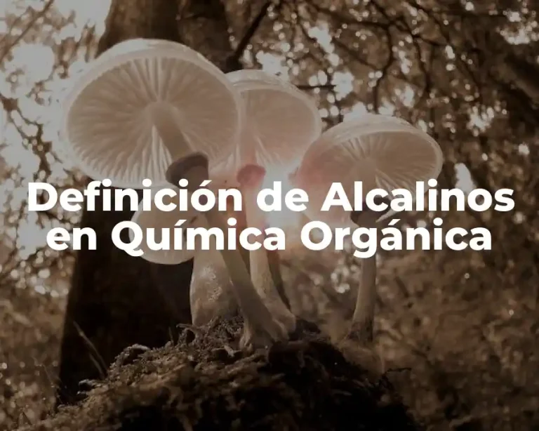 Definición de Alcalinos en Química Orgánica