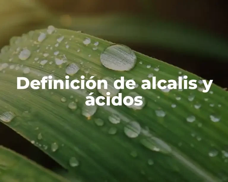 Definición de alcalis y ácidos