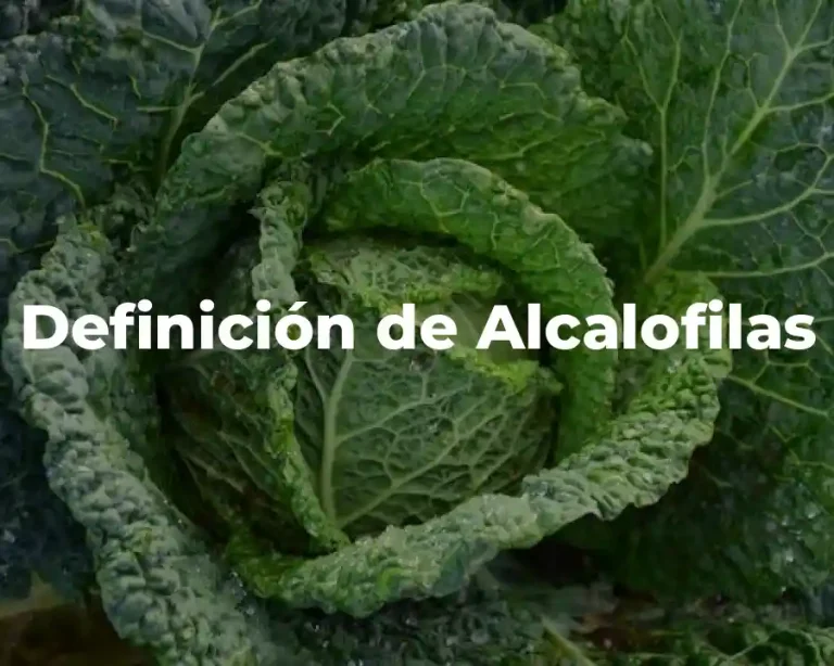 Definición de Alcalofilas