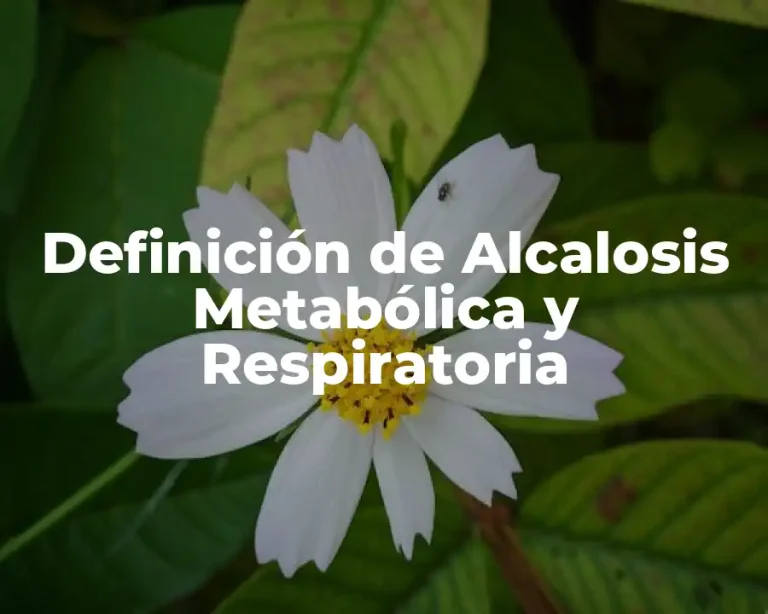 Definición de Alcalosis Metabólica y Respiratoria