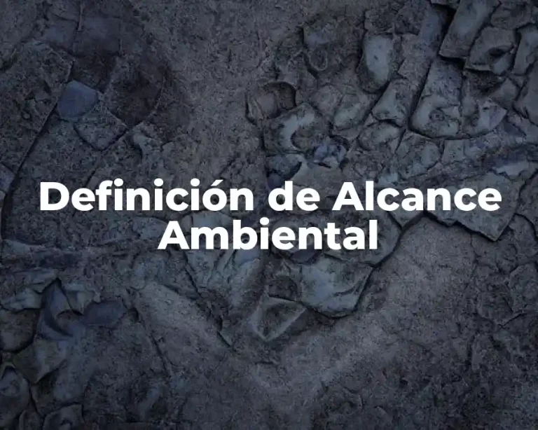 Definición de Alcance Ambiental