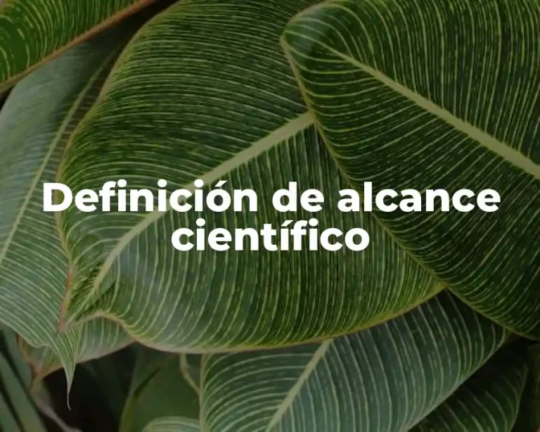 Definición de alcance científico