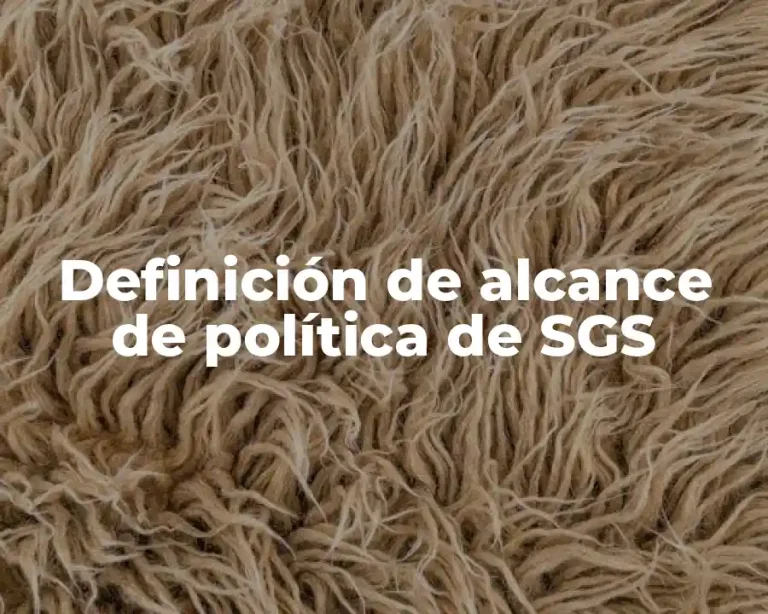 Definición de alcance de política de SGS