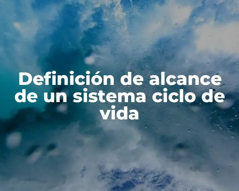 Definición de alcance de un sistema ciclo de vida