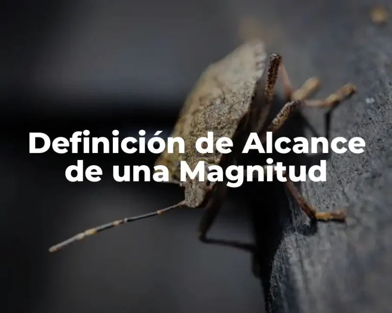 Definición de Alcance de una Magnitud