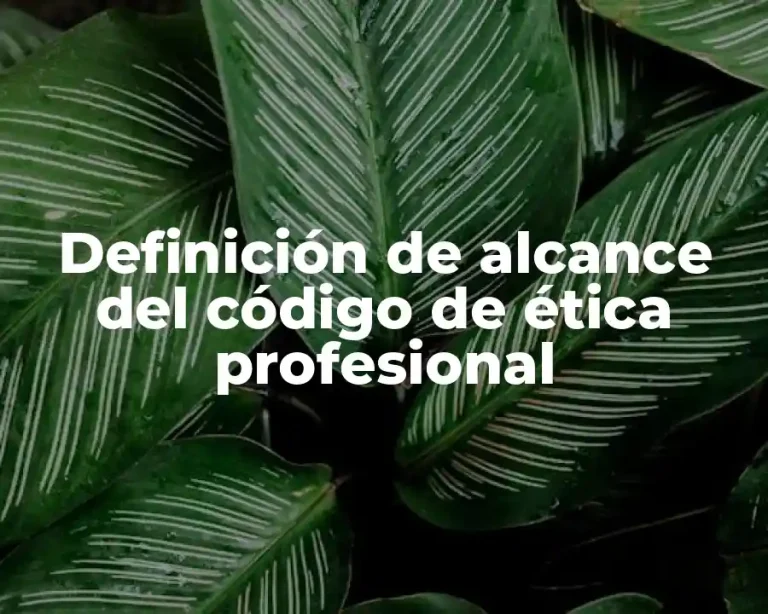 Definición de alcance del código de ética profesional