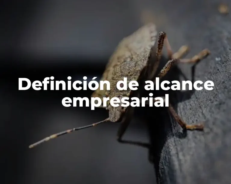 Definición de alcance empresarial