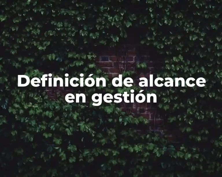 Definición de alcance en gestión