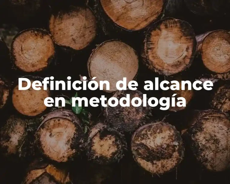 Definición de alcance en metodología