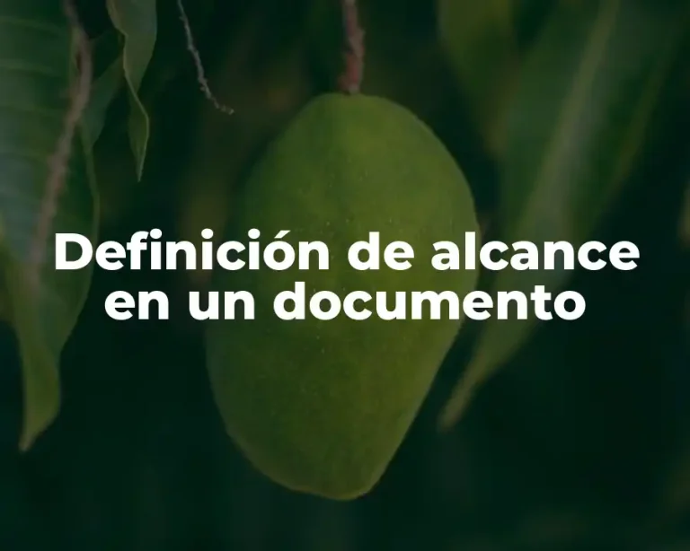 Definición de alcance en un documento