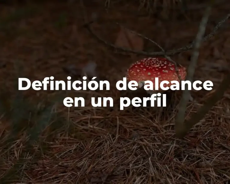 Definición de alcance en un perfil