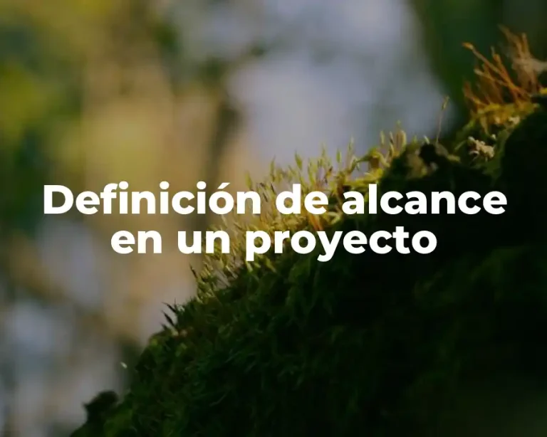 Definición de alcance en un proyecto