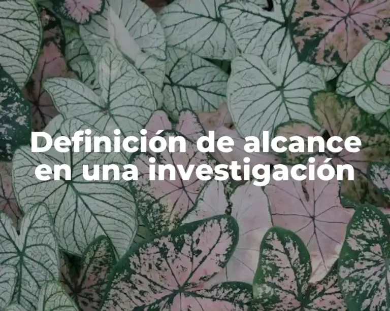 Definición de alcance en una investigación