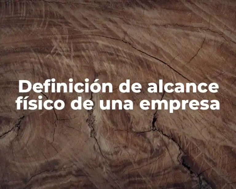 Definición de alcance físico de una empresa
